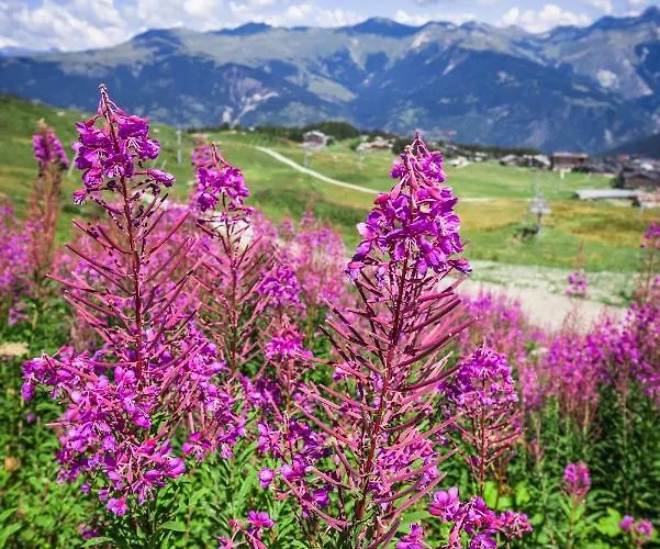 Aparthotel 3 Etoiles -restaurant Le Pilatus Courchevel