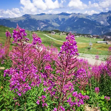 Apart Otel 3 Etoiles -restaurant Le Pilatus Courchevel