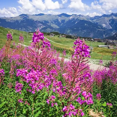 Apart Otel 3 Etoiles -restaurant Le Pilatus 3*